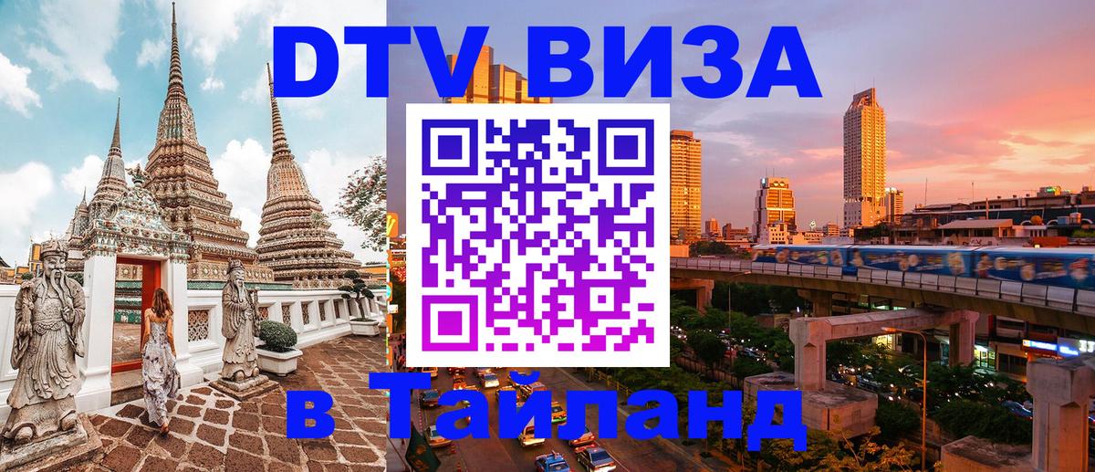 Оформление DTV визы под ключ: стоимость и тарифы, только загранпаспорт - Кишинёв  21.11.2025 